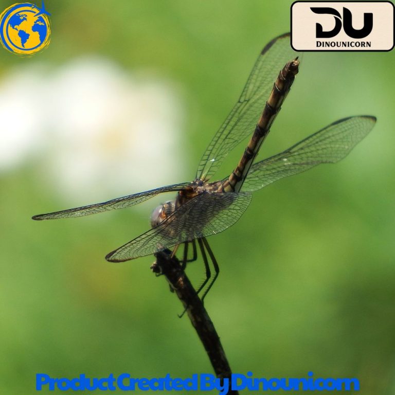 what does a dragonfly symbolize