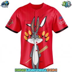 Schaumburg Boomers Baseball x Looney Tunes Baseball Jersey